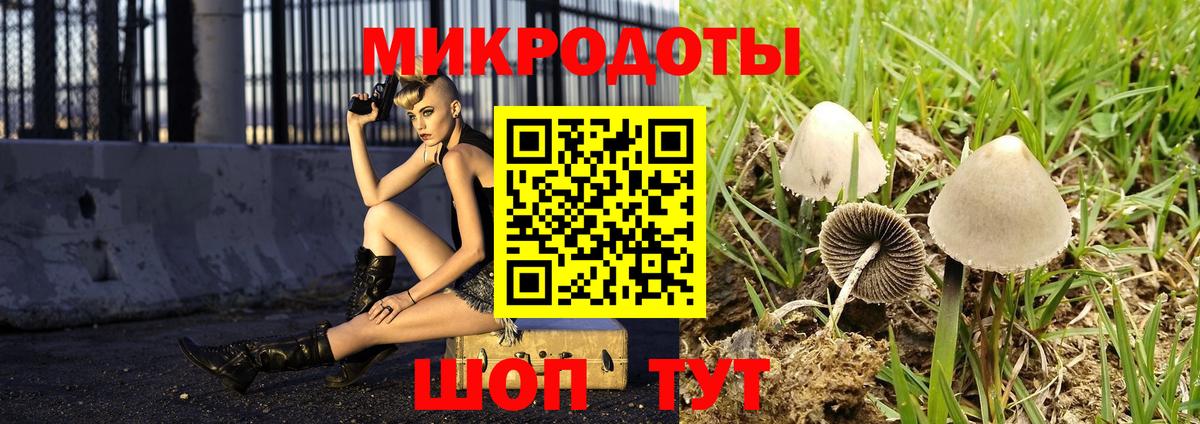 Галлюциногенные грибы Psilocybe  Вход с VPN  как найти наркотики  Фурманов 